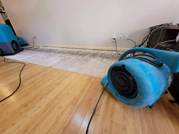 Professional Sewage Cleanup technician working in Huger, SC